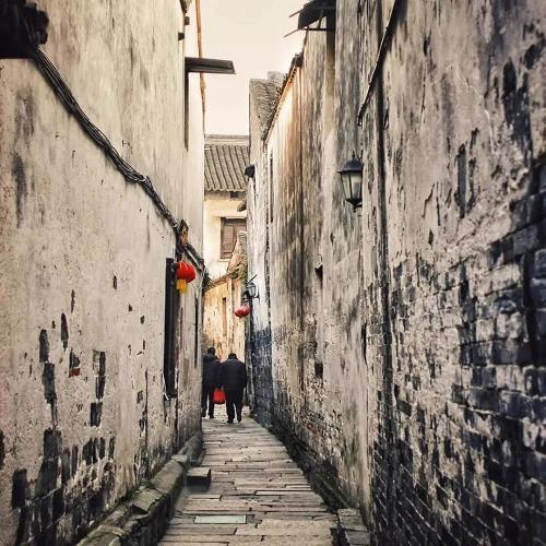 首丘夙愿