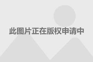 忘情负义