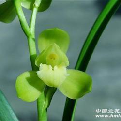 微信安慰朋友节哀的话 安慰节哀顺变的短句(精选53句)
