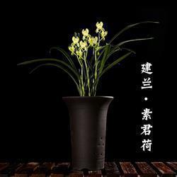 一个人在外地想家的心情说说 在外打工想家的句子推荐45句
