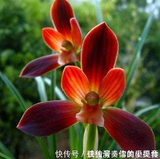 心情不好的时候发的说说
