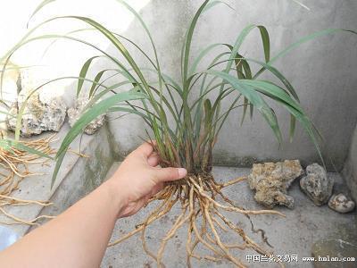 2021最新生日祝福 最打动人的生日祝福语