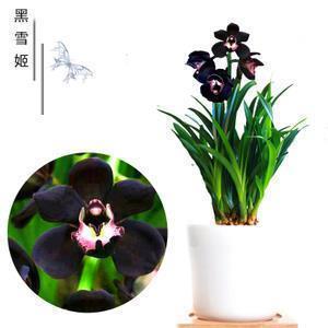 抖音能让人狂赞的说说一句话