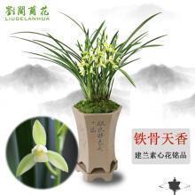 很委屈劝自己的说说(精选34句)