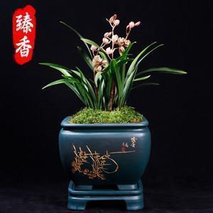 2021晚安短信走心句子89句