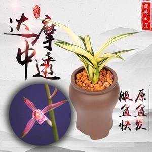 我还是放不下你的句子32句