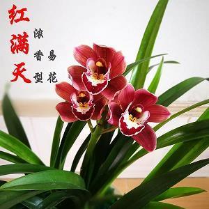 听歌思念一个人的说说 听歌想起一个人的说说59句