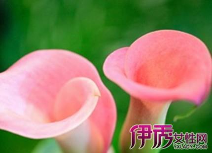 心情不好唯美短句
