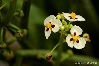 抖音要赞怎么说更经典 让粉丝添加关注的句子35句