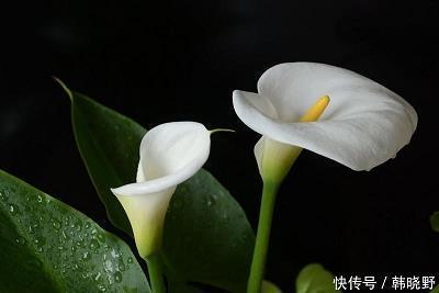 励志的话