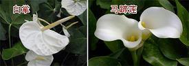 发说说容易被秒赞的句子34句