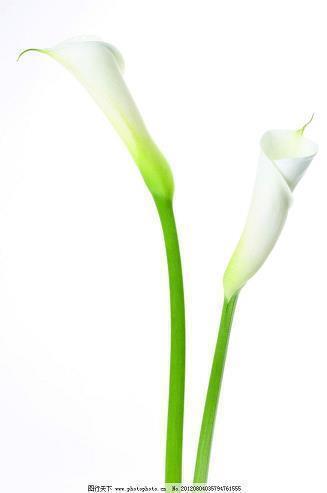妈妈生日祝福语短句 关于祝妈妈生日快乐的短句(精选69句)