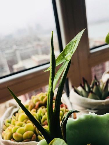 早上发朋友圈的简短说说27句