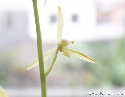 关于爱孩子的句子唯美 对孩子的爱的句子(精选45句)