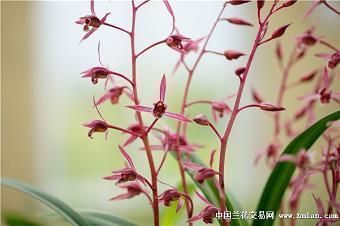 五一劳动节最经典的说说汇总76句