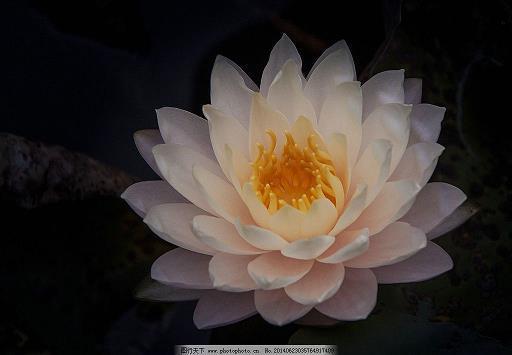 水底捞明月