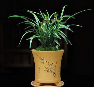 小雪节气文案祝福语 小雪节气走心文案(精选60句)