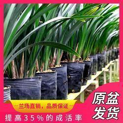心疲惫的说说精选91句