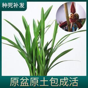 伤感爱情说说句子图片