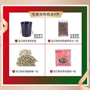 抖音闺蜜一起发朋友圈的句子34句