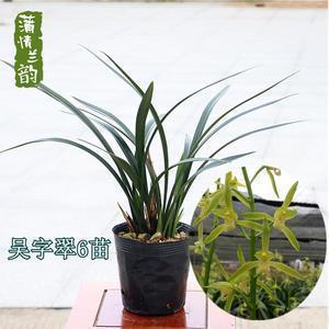 撩到女朋友脸红的句子 撩女朋友的情话精选85句