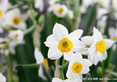 平安夜感恩顾客祝福语大全 平安夜祝福语