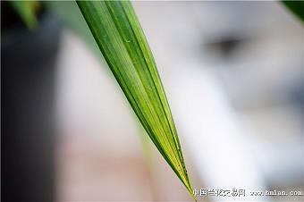一句话精致早安2022 早上好高情商句子(精选68句)