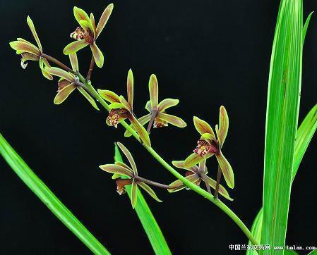 3月再见4月你好微信朋友圈怎么发