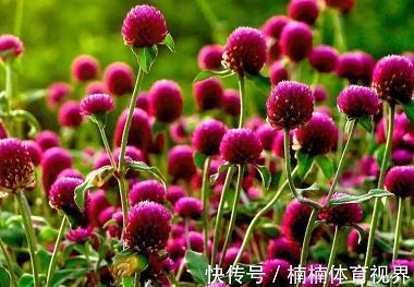 求人不如求己