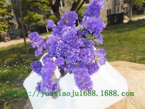 双十一光棍节发朋友圈的说说(精选50句)