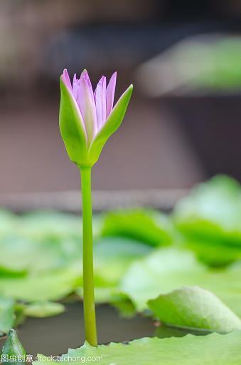 你恩我爱