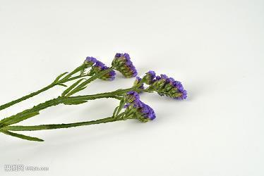关于迎接春节的诗句古诗有哪些