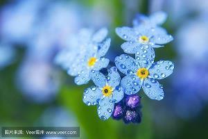 妇女节朋友圈文案