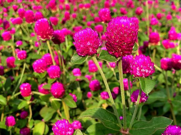 节俭力行