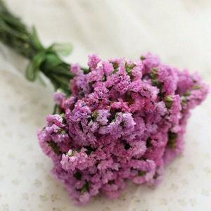 女生励志的句子