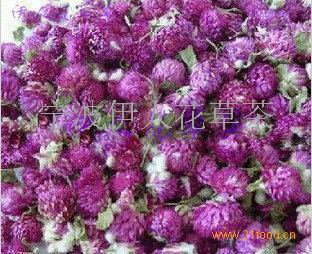 中流一壶