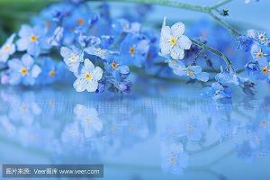 中秋节的心情说说短语(精选76句)