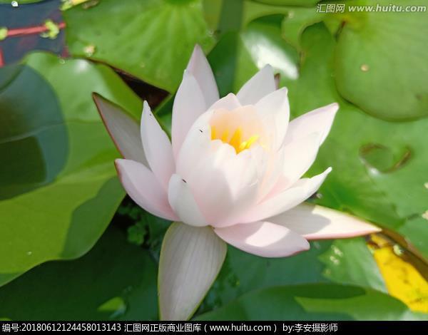 尸禄素食
