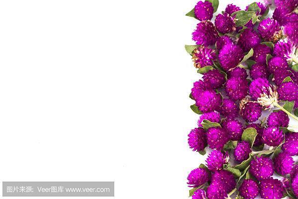 超群拔类