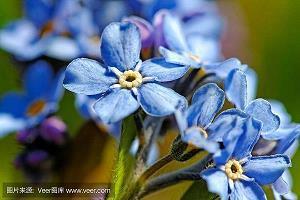 春分快乐经典说说 春分节气祝福语