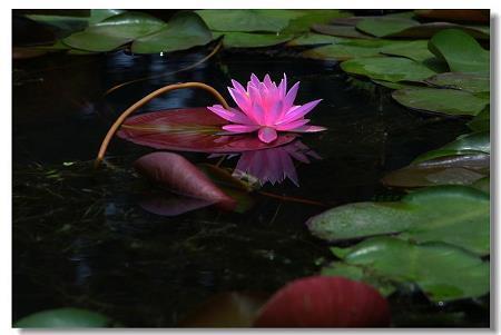 潜龙伏虎