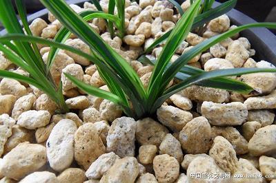 感到孤独的经典说说