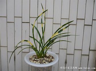 发媳妇相片的配字 发女友照片配文字