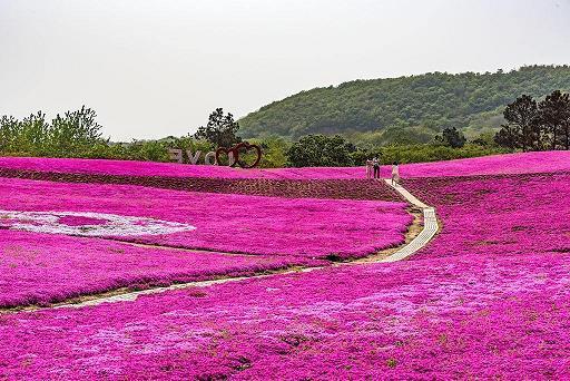兵强马壮