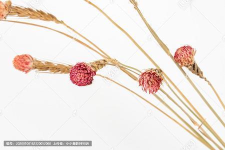 二人同心