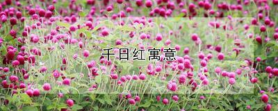 檠天架海