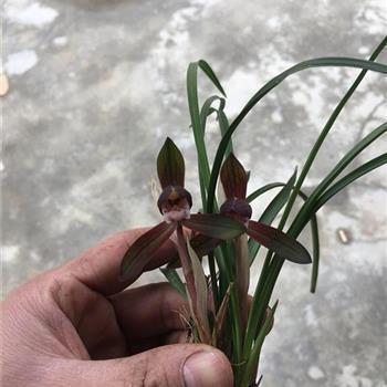 我要赚钱养家的说说