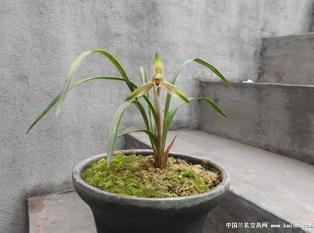 2021学生给老师的教师节祝福语推荐75句