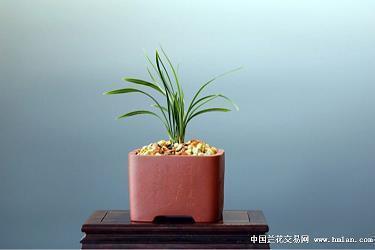 形容一个人心碎的句子