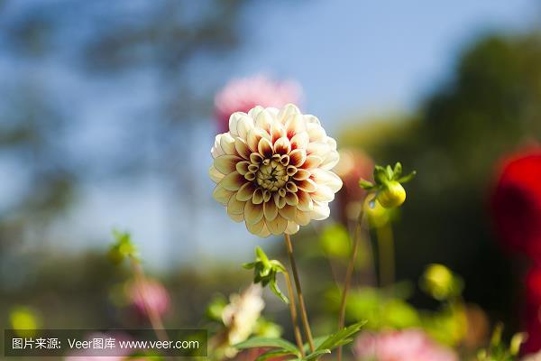 土豪劣绅